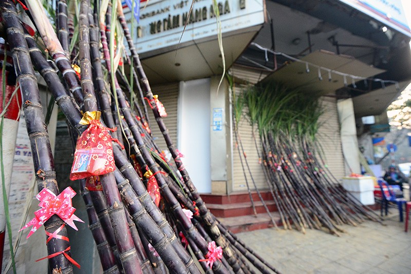 Người dân Thủ đô mua muối lấy may ngày mùng 1 Tết ảnh 4